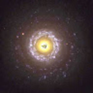 Meet your Posher, Leo